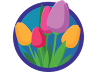 Շնորհավորում ենք գեղեցիկ սեռի ներկայացուցիչներին